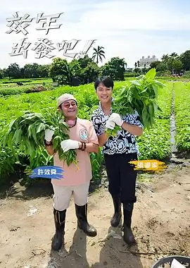 山海厨房综艺节目在线观看